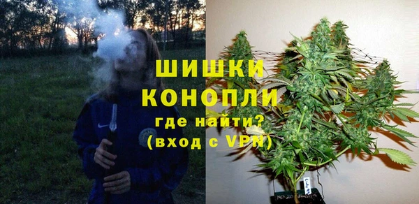 индика Семилуки