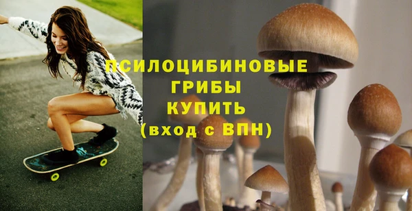 герыч Алзамай