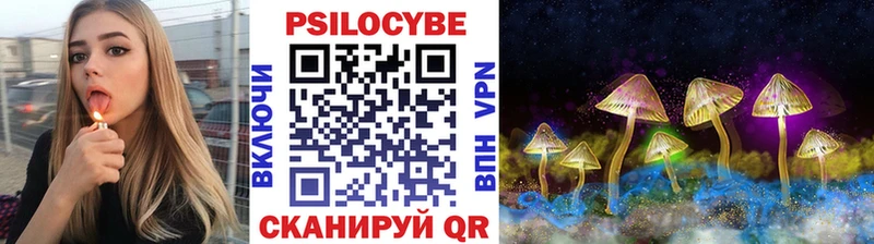 Псилоцибиновые грибы Cubensis  Ишим 