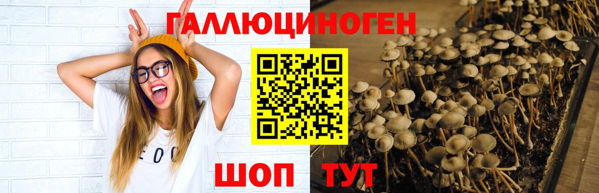 Ишим  Галлюциногенные грибы Magic Shrooms  Вход с VPN 